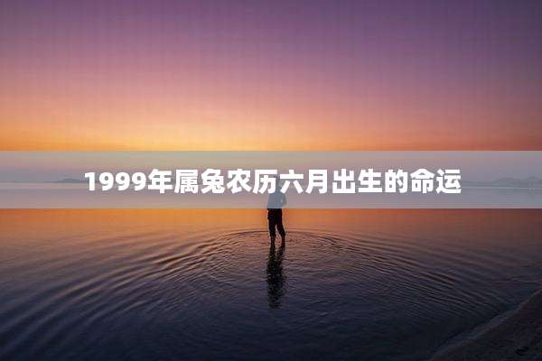1999年属兔农历六月出生的命运