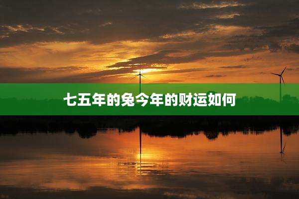 七五年的兔今年的财运如何