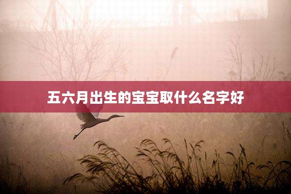 五六月出生的宝宝取什么名字好