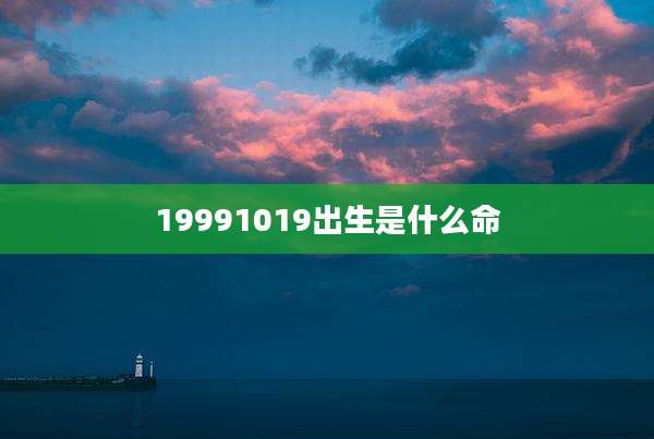 19991019出生是什么命