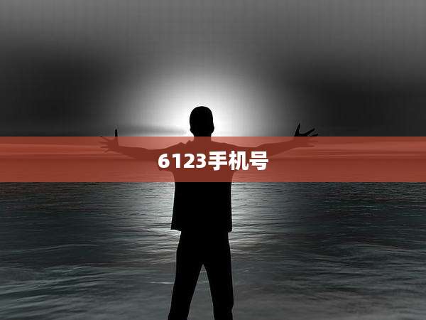 6123手机号