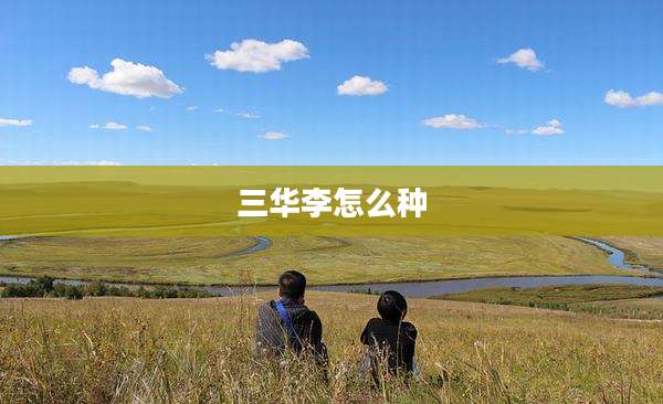 三华李怎么种