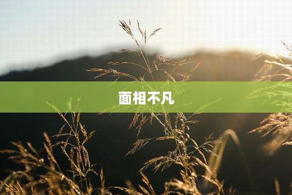 面相不凡