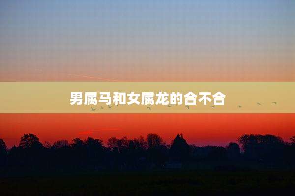 男属马和女属龙的合不合