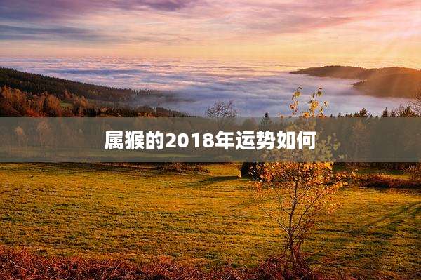 属猴的2018年运势如何