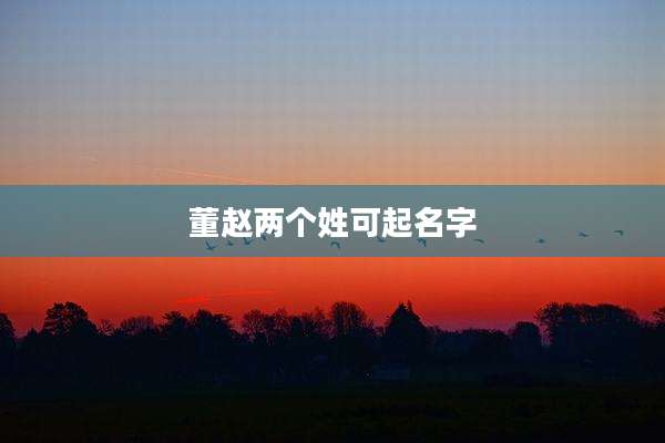 董赵两个姓可起名字