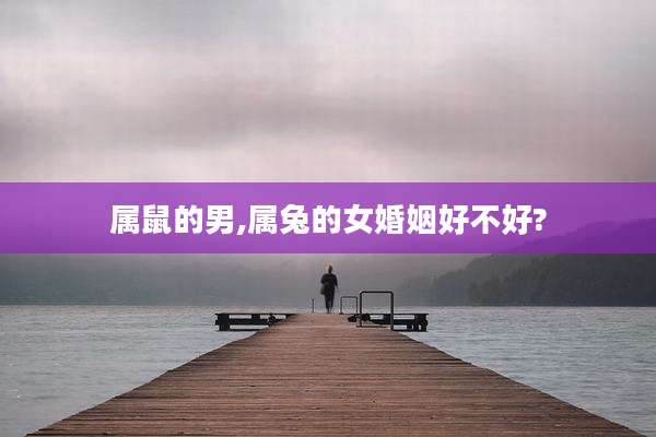 属鼠的男,属兔的女婚姻好不好?