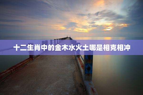 十二生肖中的金木水火土哪是相克相冲
