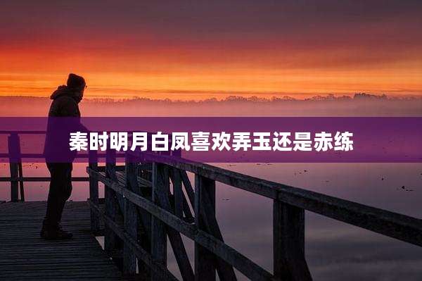 秦时明月白凤喜欢弄玉还是赤练