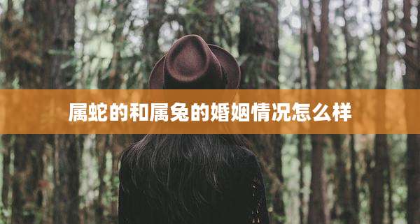 属蛇的和属兔的婚姻情况怎么样