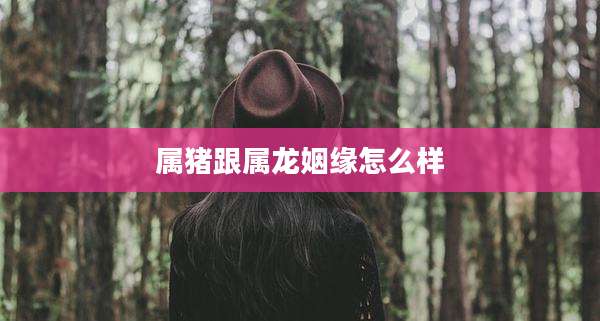 属猪跟属龙姻缘怎么样