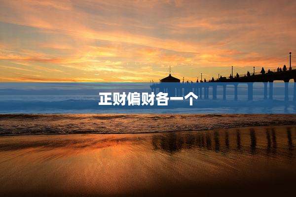 正财偏财各一个