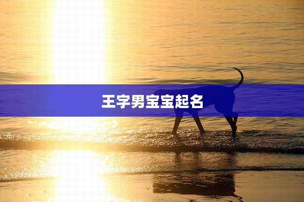 王字男宝宝起名