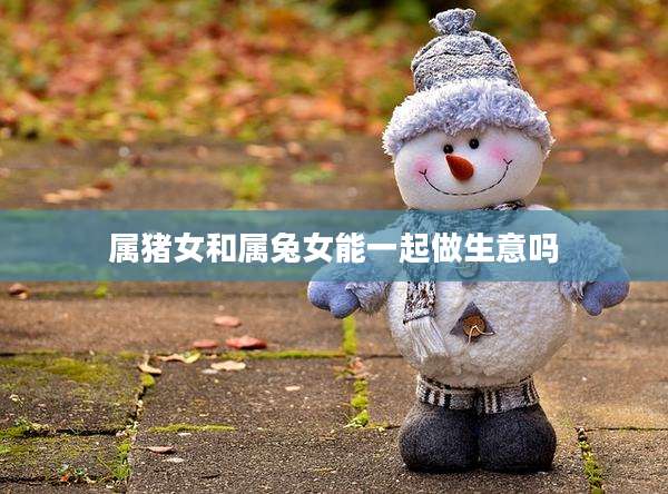 属猪女和属兔女能一起做生意吗