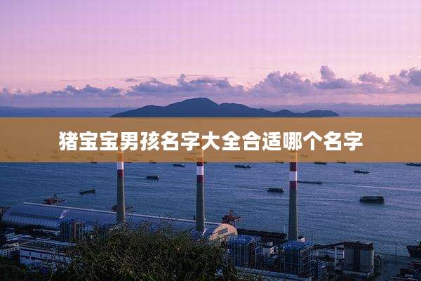 猪宝宝男孩名字大全合适哪个名字