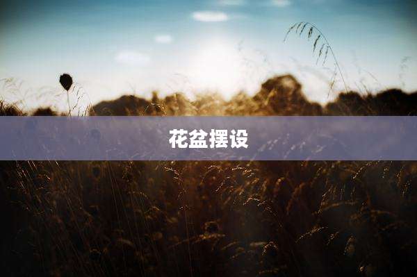 花盆摆设