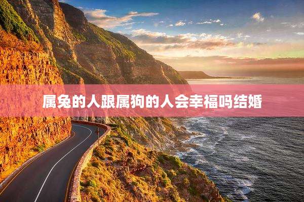 属兔的人跟属狗的人会幸福吗结婚