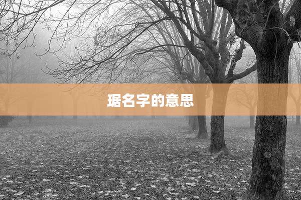 琚名字的意思