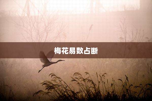 梅花易数占断