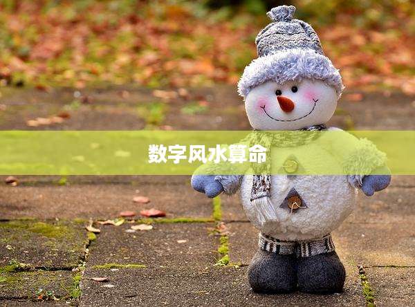 数字风水算命