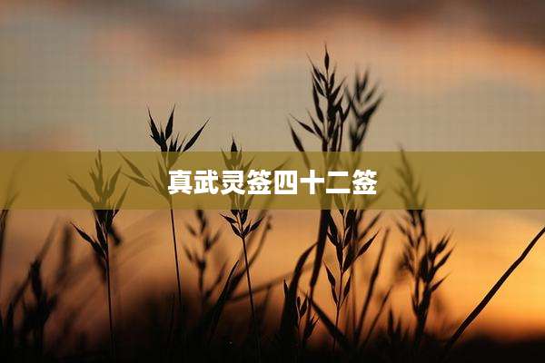 真武灵签四十二签