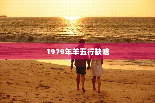 1979年羊五行缺啥