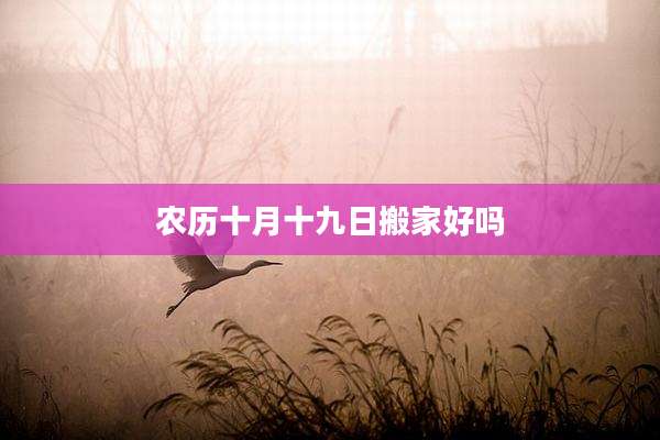 农历十月十九日搬家好吗