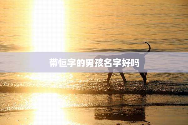 带恒字的男孩名字好吗