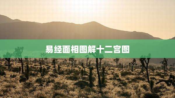 易经面相图解十二宫图