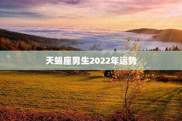 天蝎座男生2022年运势
