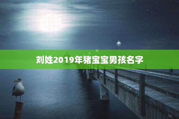 刘姓2019年猪宝宝男孩名字