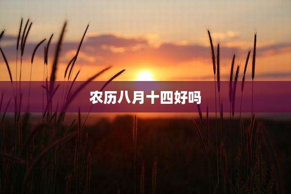 农历八月十四好吗