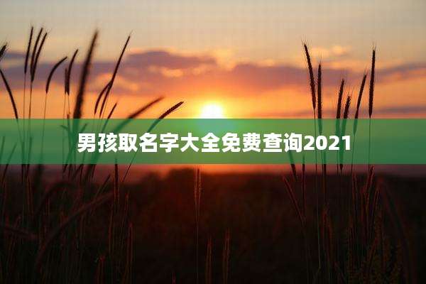 男孩取名字大全免费查询2021