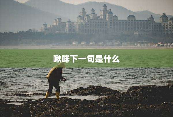 啾咪下一句是什么
