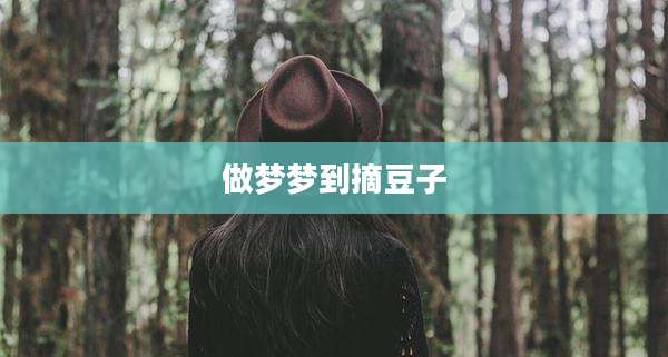 做梦梦到摘豆子