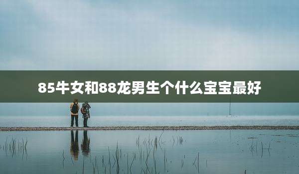 85牛女和88龙男生个什么宝宝最好