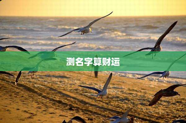 测名字算财运