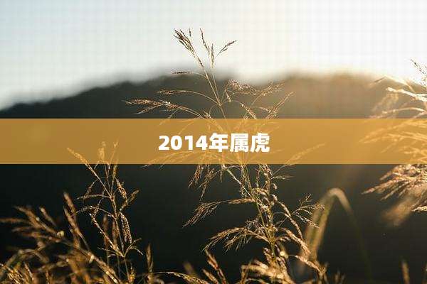 2014年属虎