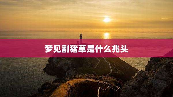 梦见割猪草是什么兆头