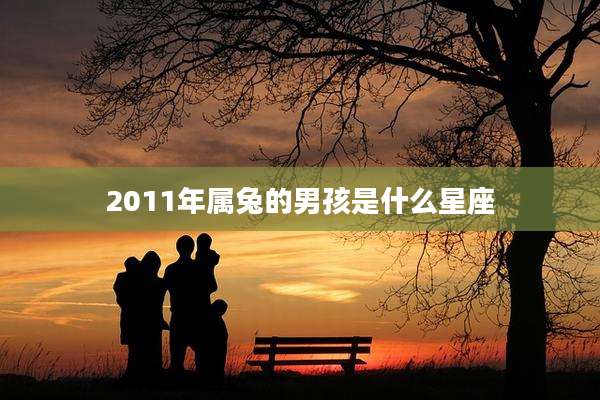 2011年属兔的男孩是什么星座