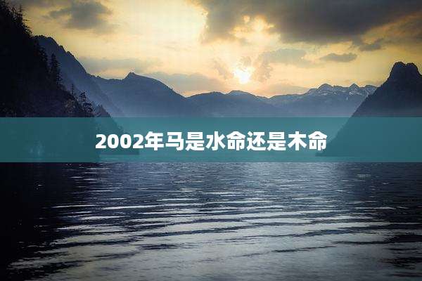 2002年马是水命还是木命