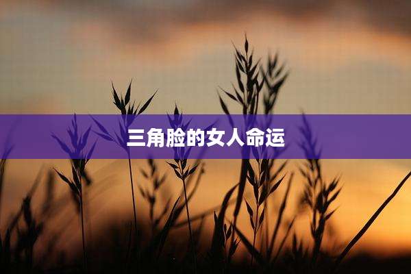 三角脸的女人命运