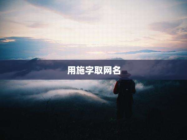 用施字取网名