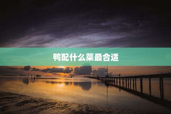 鸭配什么菜最合适