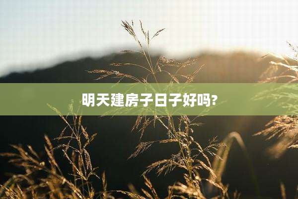 明天建房子日子好吗?