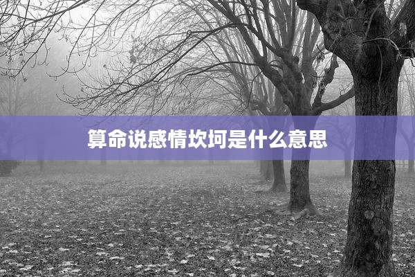 算命说感情坎坷是什么意思