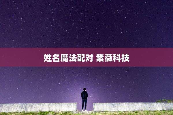 姓名魔法配对 紫薇科技
