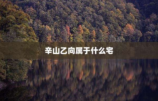 辛山乙向属于什么宅