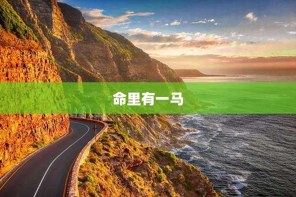 命里有一马