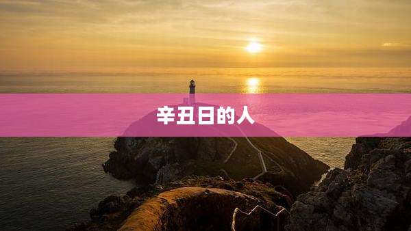 辛丑日的人